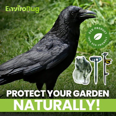 Envirobug Bird Deterrent Products: Effective Solutions for Bird Control image